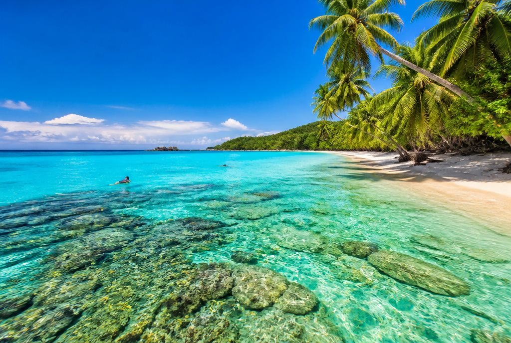 Turquoise island beach with clear water and palm trees